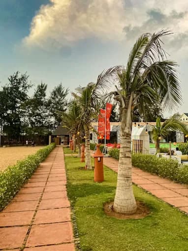 Allée bordée de palmiers